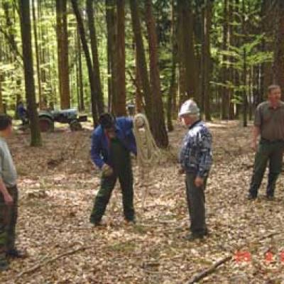 Maibaumaufstellen 2003 20150402 1047673899